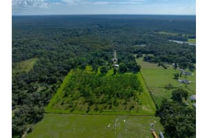 14730 TROOPER TOM LANE, DADE CITY, FL 33525 - MLS#MFRTB8428712