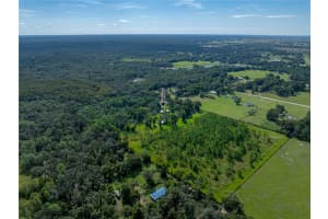 14730 TROOPER TOM LANE, DADE CITY, FL 33525 - MLS#MFRTB8428712
