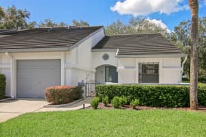 4229 BRENTWOOD PARK CIRCLE, TAMPA, FL 33624 - MLS#MFRTB8428717