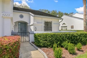 4229 BRENTWOOD PARK CIRCLE, TAMPA, FL 33624 - MLS#MFRTB8428717