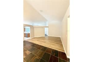 31138 HARTHORN COURT, WESLEY CHAPEL, FL 33543 - MLS#MFRTB8428741
