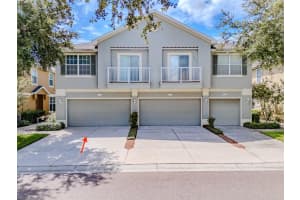 6769 BREEZY PALM DRIVE, RIVERVIEW, FL 33578 - MLS#MFRTB8428752