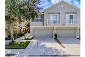 6769 BREEZY PALM DRIVE, RIVERVIEW, FL 33578 - MLS#MFRTB8428752