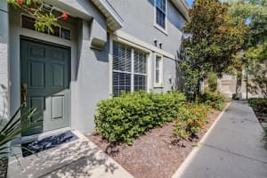 6769 BREEZY PALM DRIVE, RIVERVIEW, FL 33578 - MLS#MFRTB8428752