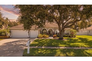 17014 WINNERS CIRCLE, ODESSA, FL 33556 - MLS#MFRTB8428758