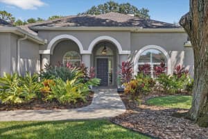 17014 WINNERS CIRCLE, ODESSA, FL 33556 - MLS#MFRTB8428758