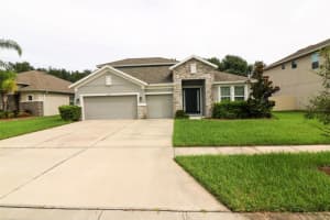 27065 SORA BOULEVARD, WESLEY CHAPEL, FL 33544 - MLS#MFRTB8428766