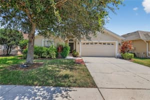3916 LANGDRUM DRIVE, WESLEY CHAPEL, FL 33543 - MLS#MFRTB8428801