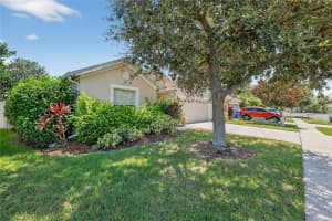 3916 LANGDRUM DRIVE, WESLEY CHAPEL, FL 33543 - MLS#MFRTB8428801