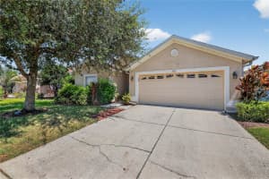 3916 LANGDRUM DRIVE, WESLEY CHAPEL, FL 33543 - MLS#MFRTB8428801