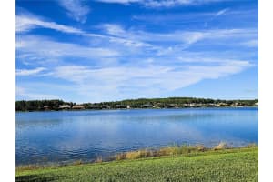 16023 IVY LAKE DRIVE, ODESSA, FL 33556 - MLS#MFRTB8428818