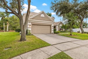 12901 GREENVILLE COURT, TAMPA, FL 33625 - MLS#MFRTB8428839