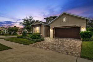 14009 WARBLER GLADE WAY, LITHIA, FL 33547 - MLS#MFRTB8428873