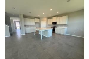 10669 BRIDGEGATE HEIGHTS LOOP, SAN ANTONIO, FL 33576 - MLS#MFRTB8428887