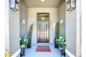 32573 Turtle Grace Loop, WESLEY CHAPEL