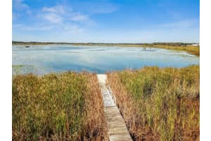 32573 TURTLE GRACE LOOP, WESLEY CHAPEL, FL 33545 - MLS#MFRTB8428969