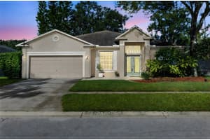 12922 LAKE VENTANA DRIVE, TAMPA, FL 33625 - MLS#MFRTB8428974