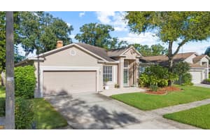 12922 LAKE VENTANA DRIVE, TAMPA, FL 33625 - MLS#MFRTB8428974