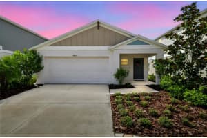 14629 BRUMBY RIDGE AVENUE, LITHIA, FL 33547 Sold 10/27/25