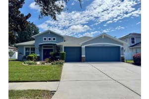 1621 HARVEST GROVE COURT, VALRICO, FL 33596 - MLS#MFRTB8429058