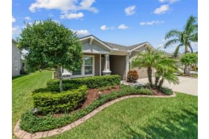 1010 BETTER DAYS PLACE, VALRICO, FL 33594 - MLS#MFRTB8429104