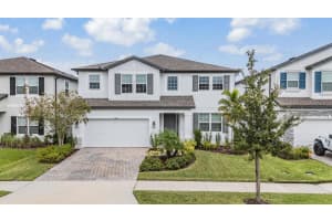 33181 ROSEWOOD BARK WAY, WESLEY CHAPEL, FL 33545 - MLS#MFRTB8429106