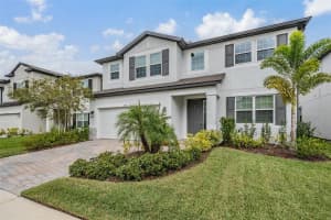 33181 ROSEWOOD BARK WAY, WESLEY CHAPEL, FL 33545 - MLS#MFRTB8429106