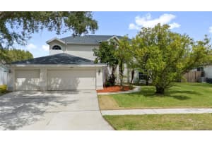 18425 BITTERN AVENUE, LUTZ, FL 33558 - MLS#MFRTB8429131