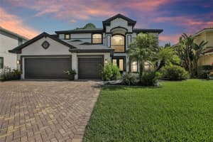 12906 RED CARDINAL DRIVE, ODESSA, FL 33556 - MLS#MFRTB8429135