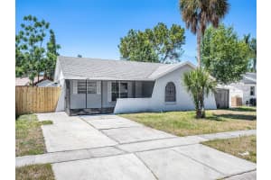 1405 CASTLEWORKS LANE, TARPON SPRINGS, FL 34689 - MLS#MFRTB8429154