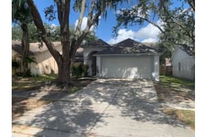 1214 BLOOM HILL AVENUE, VALRICO, FL 33596 - MLS#MFRTB8429181