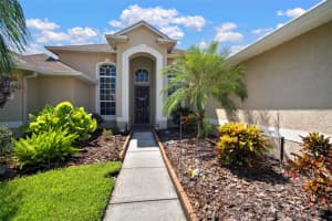 26730 SHOREGRASS DRIVE, WESLEY CHAPEL, FL 33544 - MLS#MFRTB8429208