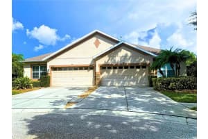 7404 Surrey Wood Ln, APOLLO BEACH