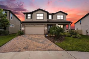 7815 BRONZE OAK DRIVE, WESLEY CHAPEL, FL 33545 - MLS#MFRTB8429222