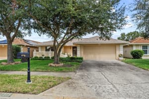 2275 KINGFISHER LANE, CLEARWATER, FL 33762 - MLS#MFRTB8429262
