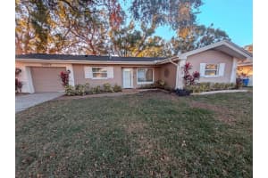 1460 RUTH ROAD, DUNEDIN, FL 34698 - MLS#MFRTB8429280