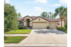 8522 WHITE POPLAR DRIVE, RIVERVIEW, FL 33578 - MLS#MFRTB8429291
