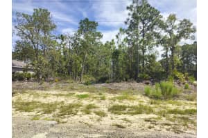 6665 DARLINGTON DRIVE, DUNNELLON, FL 34434 - MLS#MFRTB8429306
