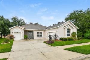 25012 LAUREL VALLEY ROAD, LEESBURG, FL 34748 - MLS#MFRTB8429323