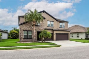 4915 BUTLER NATIONAL DRIVE, WESLEY CHAPEL, FL 33543 - MLS#MFRTB8429348