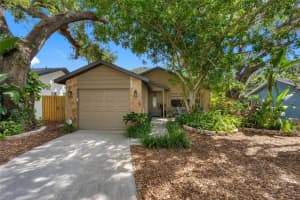 50 Irwin St W, SAFETY HARBOR