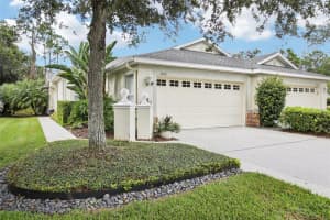 3242 CHAPEL CREEK CIRCLE, WESLEY CHAPEL, FL 33544 - MLS#MFRTB8429402