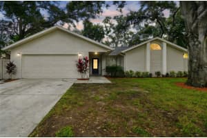 2504 GULFBREEZE CIRCLE, PALM HARBOR, FL 34683 - MLS#MFRTB8429423