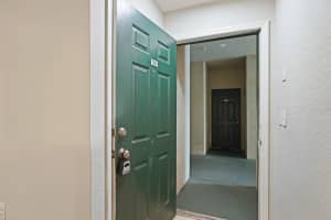 17108 CARRINGTON PARK DRIVE, TAMPA, FL 33647 - MLS#MFRTB8429482