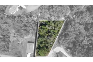 13081 HORNBILL ROAD, BROOKSVILLE, FL 34614 - MLS#MFRTB8429483