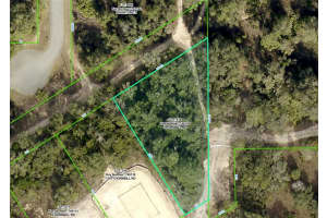 13081 HORNBILL ROAD, BROOKSVILLE, FL 34614 - MLS#MFRTB8429483