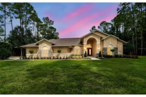 18811 VICTOR MANUEL DRIVE, LUTZ, FL 33548 - MLS#MFRTB8429489