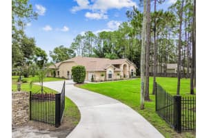 18811 VICTOR MANUEL DRIVE, LUTZ, FL 33548 - MLS#MFRTB8429489