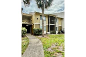 13385 ARBOR POINTE CIRCLE, TAMPA, FL 33617 - MLS#MFRTB8429513