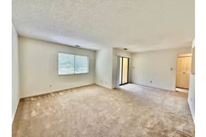 13385 ARBOR POINTE CIRCLE, TAMPA, FL 33617 - MLS#MFRTB8429513